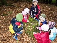100 0237 : Hausen, Kindergarten, Waldtag
