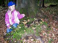 100 0249 : Hausen, Kindergarten, Waldtag