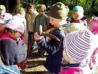 100 0270 : Hausen, Kindergarten, Waldtag