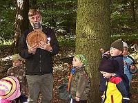 100 0281 : Hausen, Kindergarten, Waldtag