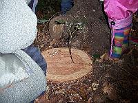 100 0282 : Hausen, Kindergarten, Waldtag