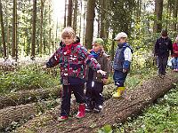 100 0294 : Hausen, Kindergarten, Waldtag