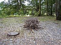 100 0404 : Hausen, Kindergarten, Waldtag