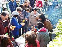 100 0420 : Hausen, Kindergarten, Waldtag