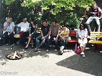 20110529-IMG 6151 : 2011, Kindergartenfest, Kita, Ritter, Ritterspiele