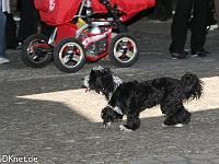 20110529-IMG 6189 : 2011, Kindergartenfest, Kita, Ritter, Ritterspiele