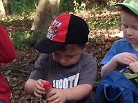 20150722-IMG 9697 : Alle Kleinen und Großen im Honigwald