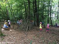 20150722-IMG 9724 : Alle Kleinen und Großen im Honigwald