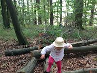 20150722-IMG 9725 : Alle Kleinen und Großen im Honigwald