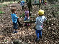 20150722-IMG 9743 : Alle Kleinen und Großen im Honigwald