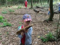 20150722-IMG 9744 : Alle Kleinen und Großen im Honigwald