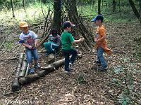 20150722-IMG 9746 : Alle Kleinen und Großen im Honigwald