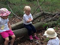 20150722-IMG 9765 : Alle Kleinen und Großen im Honigwald