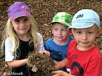 20150722-IMG 9766 : Alle Kleinen und Großen im Honigwald