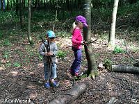 20150722-IMG 9775 : Alle Kleinen und Großen im Honigwald
