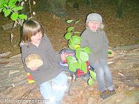 Besuch Foerster : Foerster