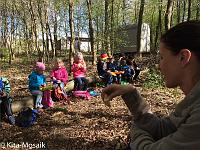 20150422-IMG 8477 : Erster Waldtag für die neuen Waldkinder