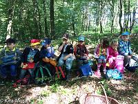 20150610-IMG 8812 : Erster Waldtag für die neuen Waldkinder