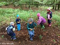 20150624-IMG 8916 : Erster Waldtag für die neuen Waldkinder