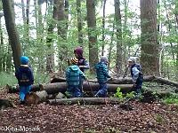 20150624-IMG 8921 : Erster Waldtag für die neuen Waldkinder