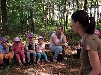 20150722-IMG 9686 : Eine Geburtstagsfeier im Honigwald