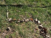 20150422-IMG 8484 : Der Weg durch das Zahlenland