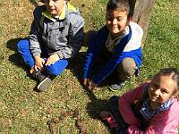 20150610-IMG 8819 : Der Weg durch das Zahlenland