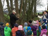 20160331-IMG 1929 : Nistkaestensaeuberung