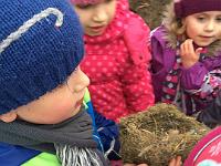 20160331-IMG 1947 : Nistkaestensaeuberung