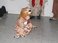 IMG 7559 : 2010, Kita, Rathausstürmung