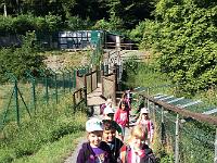 20150710-IMG 9294 : Unser Ausflug in den Tiergarten Weilburg