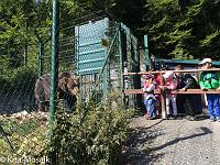 20150710-IMG 9303 : Unser Ausflug in den Tiergarten Weilburg