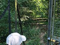 20150710-IMG 9320 : Unser Ausflug in den Tiergarten Weilburg