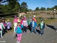 20150710-WP 20150710 001 : Unser Ausflug in den Tiergarten Weilburg