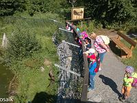 20150710-WP 20150710 008 : Unser Ausflug in den Tiergarten Weilburg