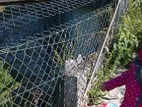 20150710-WP 20150710 015 : Unser Ausflug in den Tiergarten Weilburg