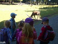 20150710-WP 20150710 030 : Unser Ausflug in den Tiergarten Weilburg