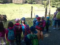 20150710-WP 20150710 038 : Unser Ausflug in den Tiergarten Weilburg