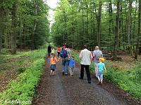 20150626-IMG 8930 : Diesjaehrige Familienwallfahrt zu den Sieben Schmerzen