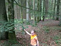 20150626-IMG 8931 : Diesjaehrige Familienwallfahrt zu den Sieben Schmerzen