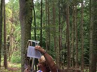 20150626-IMG 8940 : Diesjaehrige Familienwallfahrt zu den Sieben Schmerzen