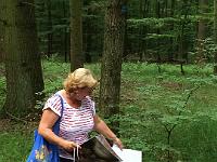 20150626-IMG 8969 : Diesjaehrige Familienwallfahrt zu den Sieben Schmerzen