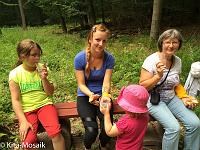 20150626-IMG 8998 : Diesjaehrige Familienwallfahrt zu den Sieben Schmerzen