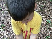 20150626-IMG 9019 : Diesjaehrige Familienwallfahrt zu den Sieben Schmerzen